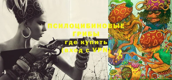 кокс Покачи