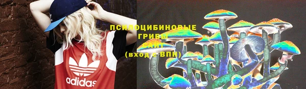 кокс Покачи
